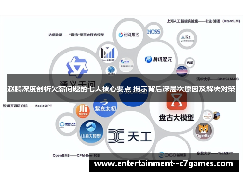 赵鹏深度剖析欠薪问题的七大核心要点 揭示背后深层次原因及解决对策