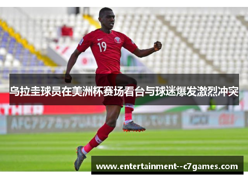 乌拉圭球员在美洲杯赛场看台与球迷爆发激烈冲突