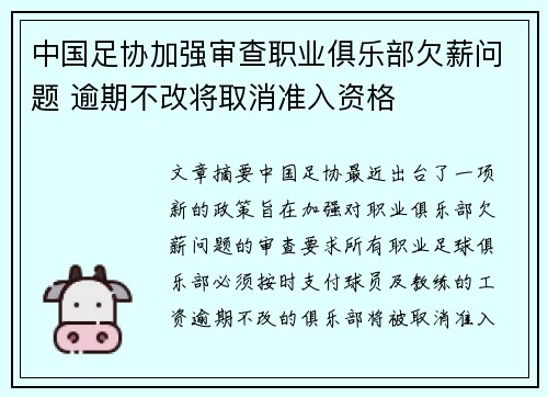 中国足协加强审查职业俱乐部欠薪问题 逾期不改将取消准入资格